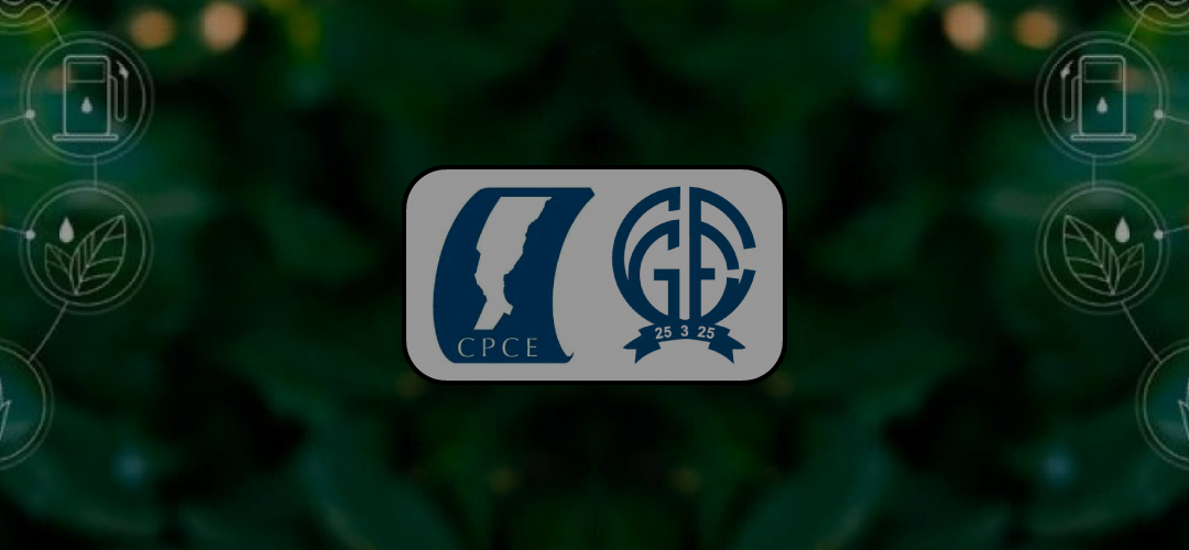 BUENAS PRÁCTICAS DE SOSTENIBILIDAD EN RESPONSABILIDAD SOCIAL ORGANIZACIONAL