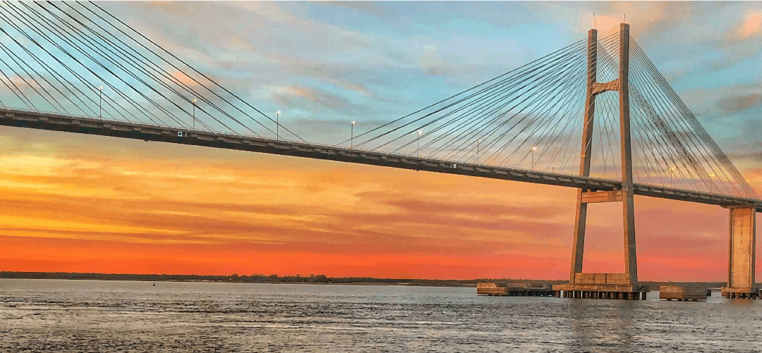 PRIMER CONGRESO BIOQUÍMICO DEL PARANÁ