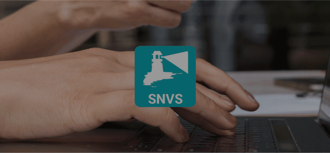 CURSO DE CAPACITACIÓN SNVS 2.0