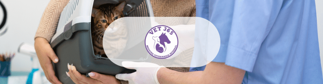 MEDICINA VETERINARIA “VET 365”