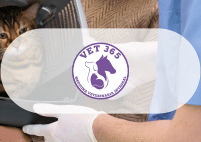 MEDICINA VETERINARIA “VET 365”