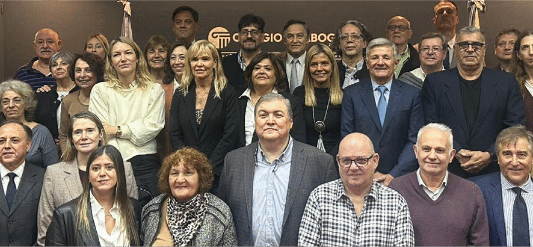 RECONOCIMIENTO CONSTITUCIONAL DE LOS COLEGIOS Y CONSEJOS PROFESIONALES DE LA PROVINCIA DE SANTA FE